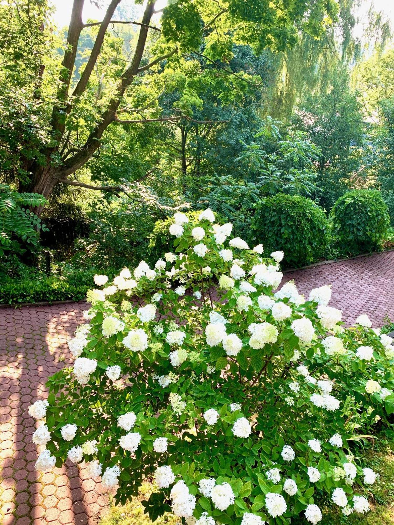 Plantation House Bed & Breakfast Port Hope Dış mekan fotoğraf
